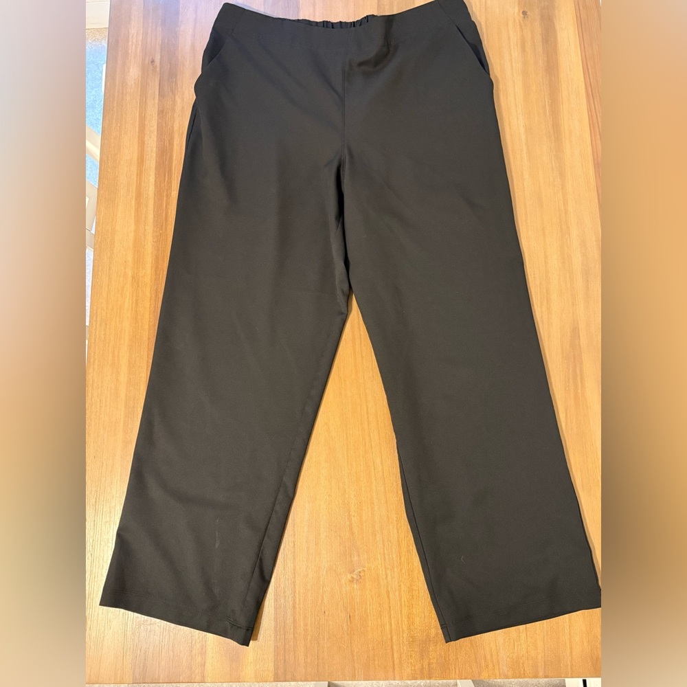 (2) Work Pants with pockets
